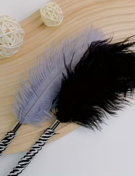 Raven’s Trace – Ritual Feather for Sensory Play & Sacred Seduction