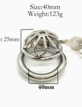 Aegis Flattening Cock Cage – Lockable Chastity Device